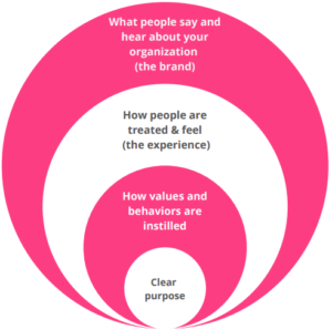 employee experience drives your employer brand