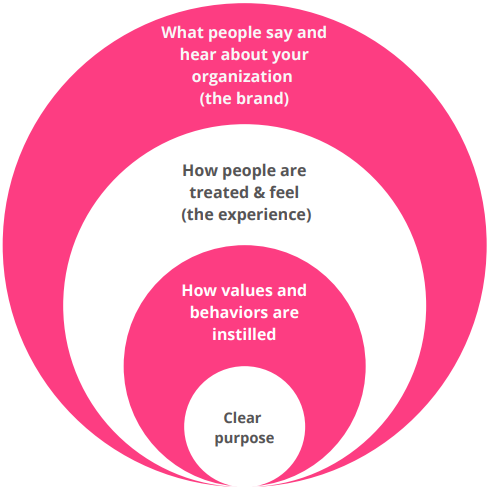 How the employee experience shapes your employer brand.